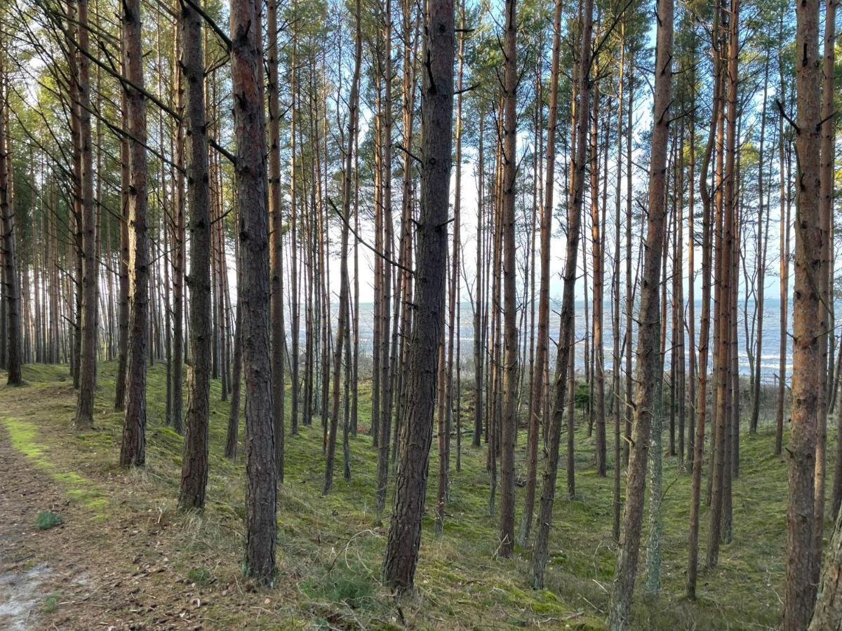 Wygodny Eko Domek Kolo Nadmorskiego Parku Krajobrazowego Karwienskie Bloto Drugie エクステリア 写真